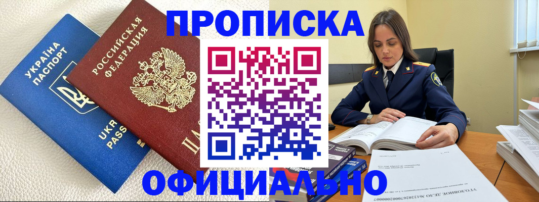 прописка поиск в Шебекино